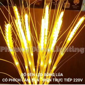 Bộ đèn LED Bông lúa mạch 10 bó màu vàng trang trí Trang trí Siêu đẹp