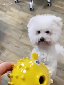Interactive Bouncing Fish Treat Dispenser Dog Toy Slow Feeder Puzzle for Dogs And Cats Self-Play Boredom Relief Pet Toy