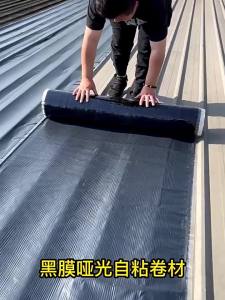 HOUSE GUARDS | Self-Adhesive Waterproof Matte Finish Sheet
