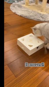 Hộp đồ chơi cho mèo FOFOS Hộp đồ chơi lông vũ cảm biến tự động Đuổi bắt lông vũ vui nhộn Thúc đẩy vận động Sạc USB Tặng kèm 5 đầu lông vũ