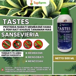 Obat Pembasmi Hama Tanaman Hias Sansevieria / Obat Semprot Hama Daun Hias / Obat Hama Kutu Tanaman Hias / Obat Penyubur Pembasmi Hama Daun Hias