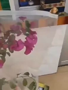 2 ขนาดพืช ตาข่าย คลุมผัก คลูมัน กันเเมลง 2 ขนาดพืช ตาข่าย คลูมัน กับ 2 ขนาดพืช ตาข่าย คลูมัน มีสายรูด