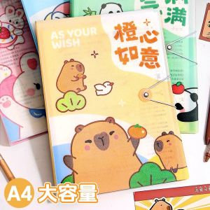 Cartoon A4 File Folder Transparent Page Dividers Exam Check Music Sheet Storage Organizer Bag Certificate Collection Document Bag