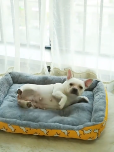 เตียงสุนัขสัตว์เลี้ยง ขนแกะ เบาะนอนที่นอน  สุนัข และแมว ที่นอนสัตว์เลี้ยง ไม่มีหมอน เบาะนุ่ม สำหรับสัตว์เลี้ยง