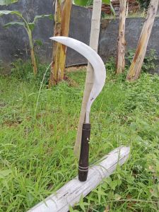 Arit rumput dan padi bahan cap Z baja per murni asli madura