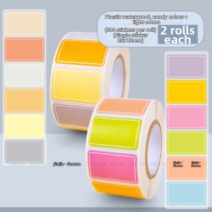 DISCO BEAR | Writtable Classification And Labeling Stickers