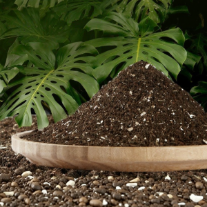 baomafanxi | Turtle Back Bamboo Special Fertilizer Humus Soil