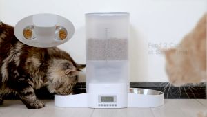 3.5L 5L Honey Guardian Smart Automatic Pet Feeder Dispenser Bekas Tempat Makan Kucing Automatik