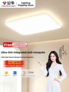 Bull | Living Room LED Downlight