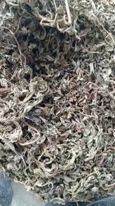 100g lá ngải cứu sấy khô làm gối