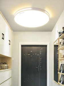 Chigo | LED Ultra-Bright Full Spectrum Modern Entryway Ceiling Light