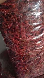 MURAH SUPER ( 5.KG ) CABE RAWIT TEJA CAPLAK KERING KUAKITAS SUPER PEDAS