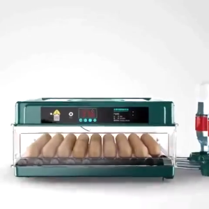 220V/12V Dual Power 12/24/36/48/64/130 Green Eggs Fully Automatic Digital Incubator Chicken Poultry Hatcher Temperature Control egg tray Incubator egg incubator Duck Goose Quail Birds Brooder Digital Humidity Temperature Control Hatching machine incubator