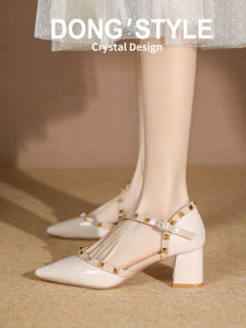 Leather Pointed Toe Single Shoes Womens Spring 2025 New Style Evening Fairy Skirt Rivet French High Heels Thick Heel Fashionable