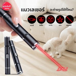 hipidog | Interactive Cat Toy Fun Exercise