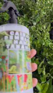 pembasmi kutu putih dan hama lainnya tanaman dan jamur untuk tanaman buah buahab dan tanaman hias ampuh dan efektif 250ml dan 500ml cod bayar di tempat