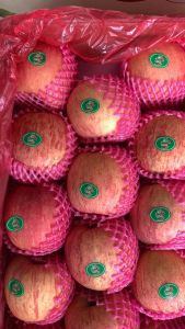 BUAH APEL FUJI 1 KG RUMAH BUAH