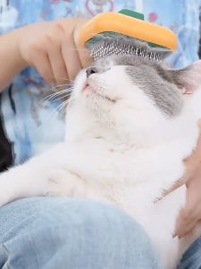 🦴หวีแมว หวีสุนัข หวีสัตว์เลี้ยง หวีแปรงขนแมว หวีกำจัดขน ราคาถูกต้อง ปริมาณ 18 วันนไม่มีราคาเสีย ปลอดภัย สำหรับการแต่งต้น เสื้อผ้าที่น่าสนใจ สร้างสรรค์สัตว์