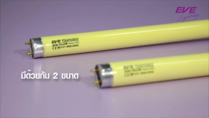 EVE หลอดไฟ นีออน ไล่ยุง ไล่แมลง แสงเหลือง หลอดประหยัดไฟ รุ่น T8 หลอดยาว ขนาด 18W และ 36W สําหรับชุดรางไฟ