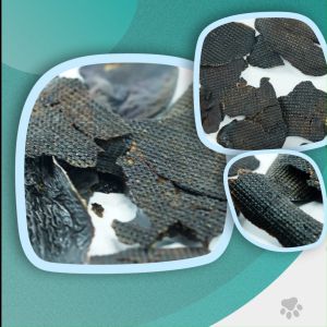 All Natural Dehydrated Beef Liver Cat and Dog treats by Chewpawpuffs