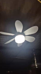 BIGLITE BL-BF01-420 LED E27 CEILING FAN LED LIGHT WITH REMOTE CONTROL