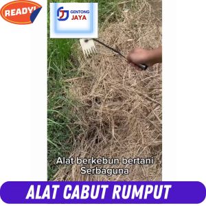 Alat Kebun Taman Garuk Mini Serbaguna /Pencabut Rumput /Pacul Cangkul Garpu Garukan Tanah Mini
