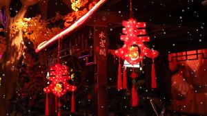 2023兔年 3D立体春字装饰灯发光彩灯春字灯笼挂灯门窗装饰新年春节元宵过年新春佳节喜庆装饰摆设 3D Door Window Decoration Lamp CNY Chinese New Year Spring Festival