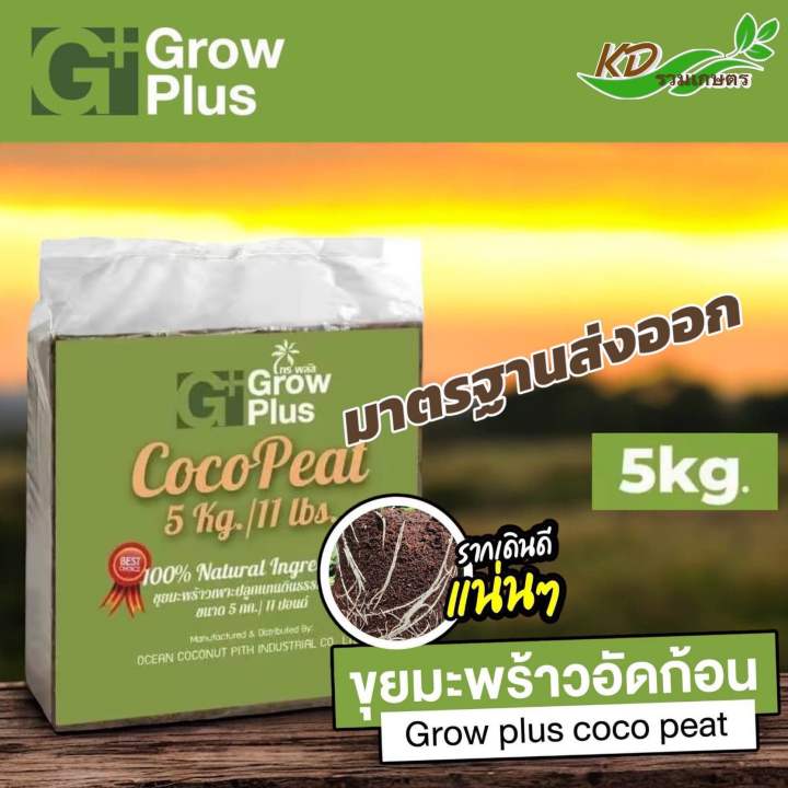 ขุยมะพร้าว Coco Peat อัดก้อน 5 กก. วัสดุเพาะต้นอ่อน