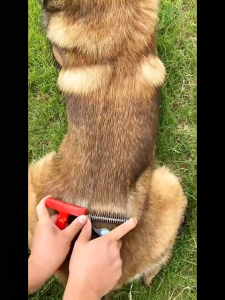 Rubvrenti Pet Grooming Comb Cat Dog Flea Brush Sisir Bulu Sikat Kucing Deshedding Tool Penghilang Bulu