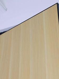 JIAJIESHI | No Drill Powerful Adhesive Door Or Wall Hook