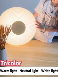 RNG-Lighting Nodic Ceiling Lamp Bedroom Center Light Led Ceiling Light Modern Design Living Room Light