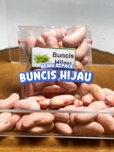 Benih Buncis Hijau Unggulan berkualitas biji bibit hydroponik hidroponik sayuran tanaman sayur hijau