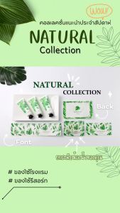 ✨ขายดี✨สำลีก้านโรงแรม คอตตอนบัดโรงแรม รุ่น Natural Cotton bud ของใช้ในโรงแรม อเมนิตี้ Hotel Amenities