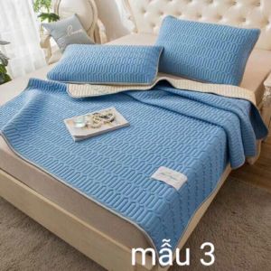 Chiều Điều Hoà Cao Su Non ⚡FREE SHIP⚡ Chiếu Điều Hoà Latex Hàng Loại 1 (Tặng Kèm 2 vỏ gối)