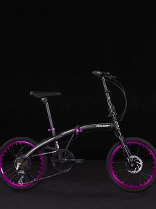 Raleigh | Folding Portable Bicycle 20 Inch