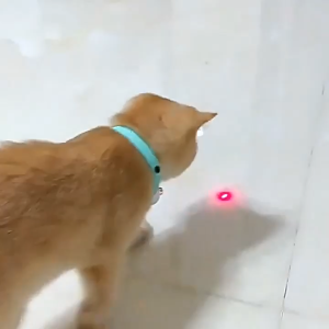 Laser cat collar smart cat toy pet supplies