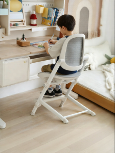 XIGE | Adjustable Posture Correction Study Chair