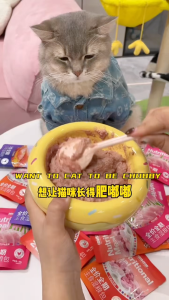 MONSTER CAT NUTRITION MAIN FOOD WET FOOD FRESH MEAT HYDRATE MIXED FOOD CHICKEN SNACKS(60G)捕味怪兽猫咪营养主食湿粮鲜肉补水拌粮鸡肉零食