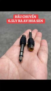 COMBO 2 Đầu chuyển giắc 6ly ra lỗ bông sen AV cái