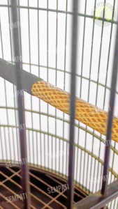 SEMPATI Tangkringan Murai Diameter 14 mm Sisik Ujung Ulir Bakar Motif Nanas Salak Kombinasi Tenggeran Sangkar Kandang Burung Murai Batu Kacer Poksay Jalak