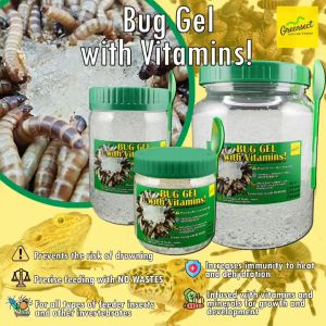 Bug Gel with Vitamins Bug Crystal by Greensect Nature Foods