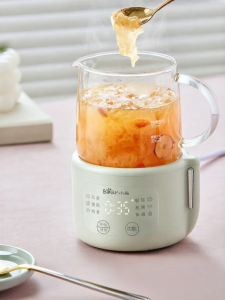 「China Plug」Bear | Multi-Function Health Pot for Home and Office Use
