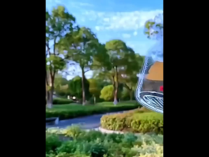 40Pcs Transparent Dried Flower Bookmark Handmade DIY Transparent Beautiful Flower Page