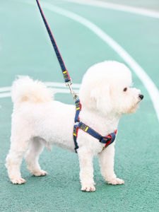 Small Medium Dog Leash Walk Dog Chain Harness Poodle Teddy Bichon Puppy Dog Lead Pet Supplies Retractable Leash Dog Accessories