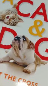 PCBS A Cat & Dog (Look at the Cross) Seeing Christs Death Through New Eyes by Bob Sjogren & Kevin Kimbrough