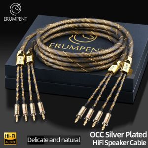 One Pair HiFi Speaker Cable High-end OCC Silver Plated Audio Amplifier Cable With Banana Gold Plating Plug Cable