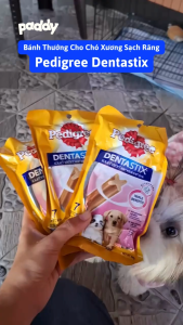 Bánh Thưởng Cho Chó Xương Sạch Răng Pedigree Dentastix