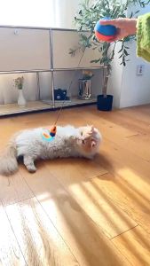 Electric Cat Ball Toy Cat Toys Electric Cat Teasing Balls Self Amuse Oneself Play Artifact Supplies Pet Interactive Toy