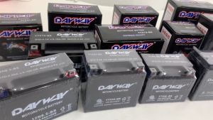 DayWay Battery Motorcycle: 100% Original YB2.5/YTX7A/12N7L/12N9L/12N5L/12N6.5L/YTX5A/YTX4L