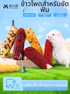 YUEXIAOMENG | Edible Teeth Grinding Snack for Hamsters